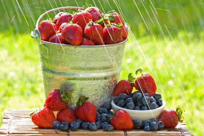 Bucket of Strawberries and Blueberries in Rain