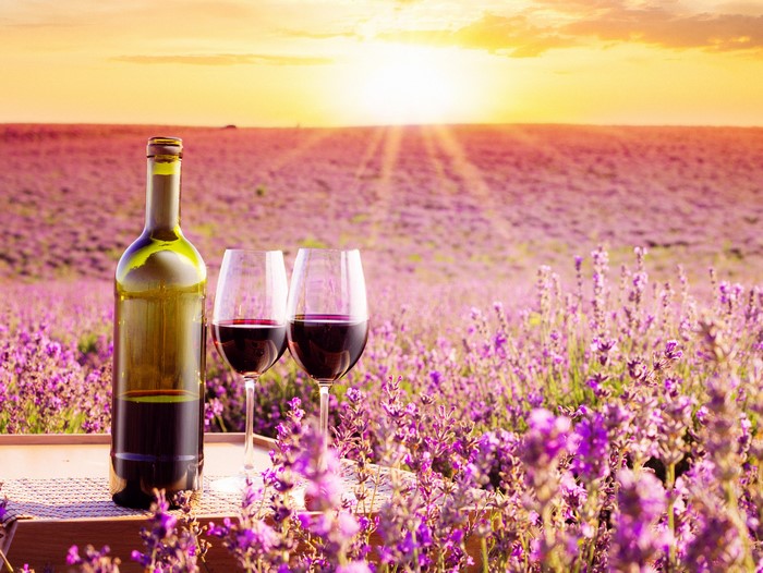 Bottle and glasses of wine in lavender field at sunset