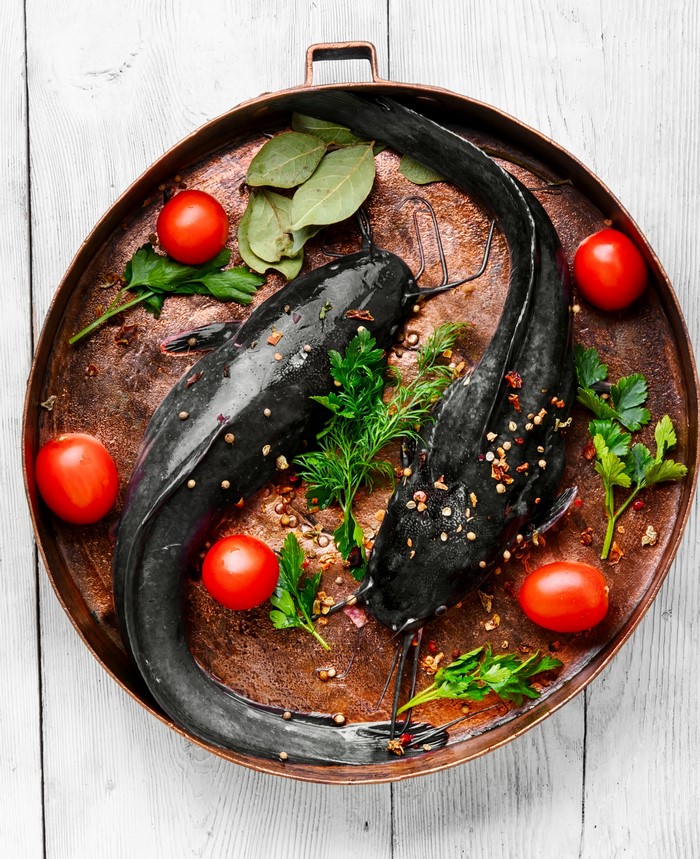 Two raw catfish with tomatoes and herbs on a tray