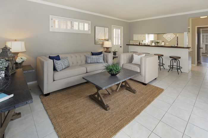 Living room with sofa and kitchen counter
