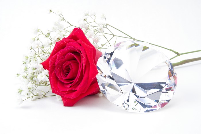 Red Rose and Diamond on White Background