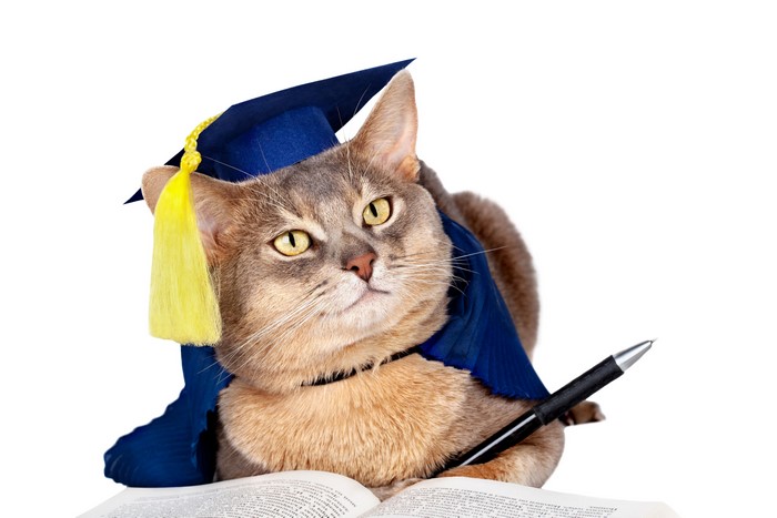 Cat wearing graduation cap and gown with pen and book