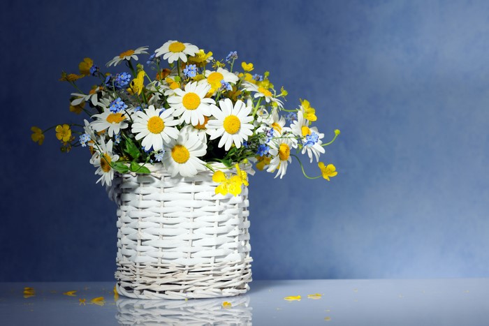 Bouquet of Camomiles in a Wicker Basket