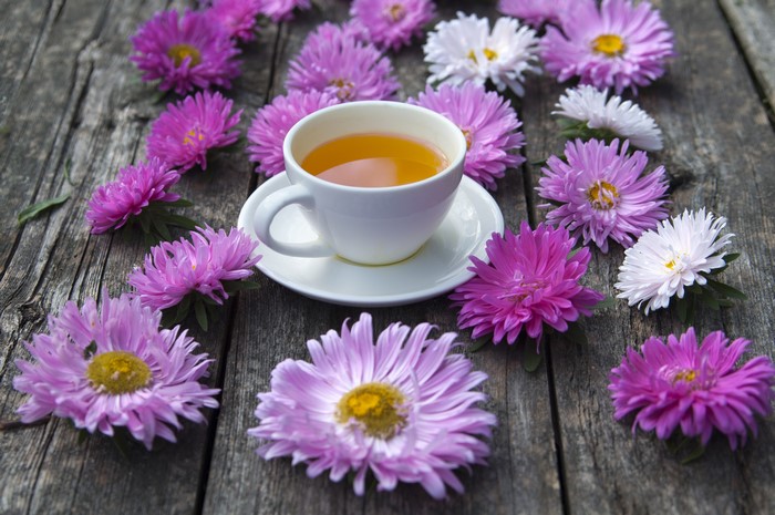 Tea cup surrounded by asters