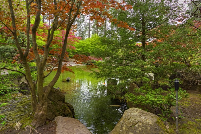 Japanese Garden Pond with Trees and Stones in Spokane, Washington