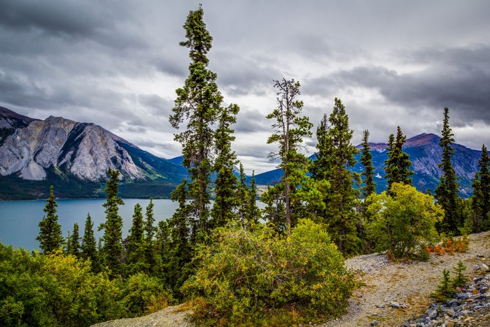 Tutshi Lake with Mountains and Evergreen Trees