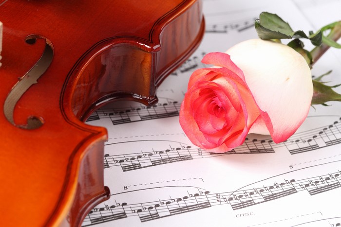 Violin and Rose on Sheet Music