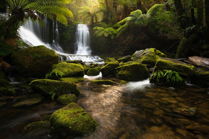 Peaceful Waterfalls and Mossy Stones in Tasmania