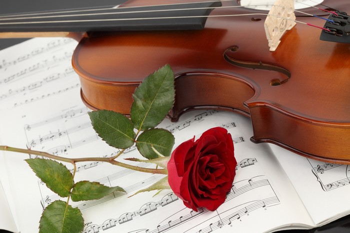 Violin and Red Rose on Sheet Music