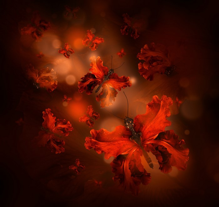 Red Irises Butterflies