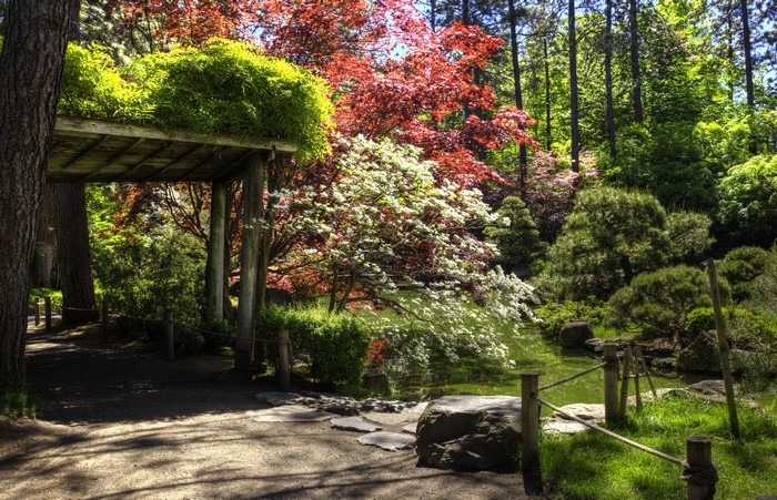 Spokane Japanese Garden Pond with Trees and Shrubs