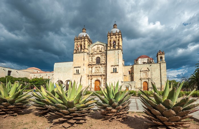 Santo Domingo Church in Oaxaca, Mexico with Agave Plants