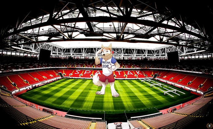 4K World Cup 2018 Mascotte in Stadium