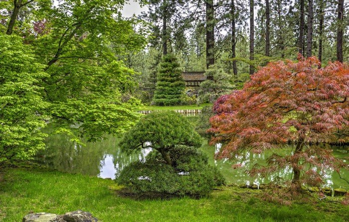 Spokane Japanese Garden with pond and trees