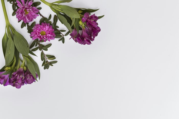 4K Closeup of Purple Alstroemeria and Chrysanthemums