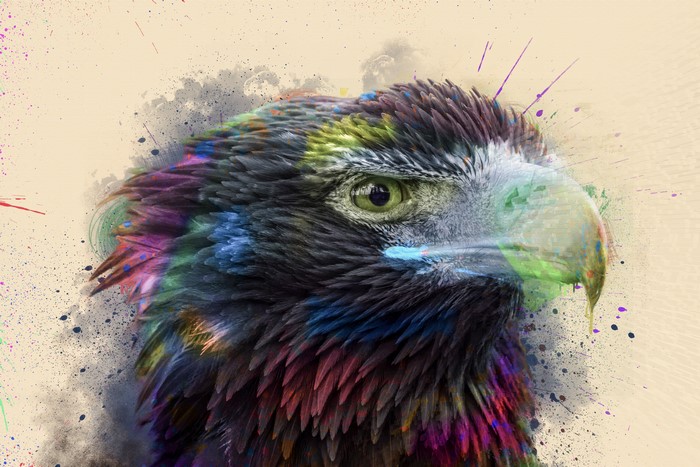 Colorful Hawk Bird with Splatter Art