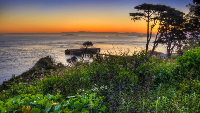 Sunset over the bay with a pier and trees