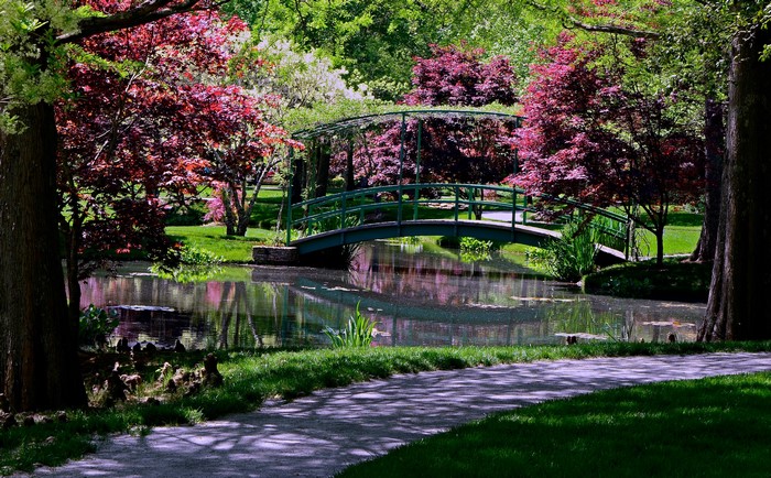 Gibbs Gardens Tranquil Pond and Bridge Scene