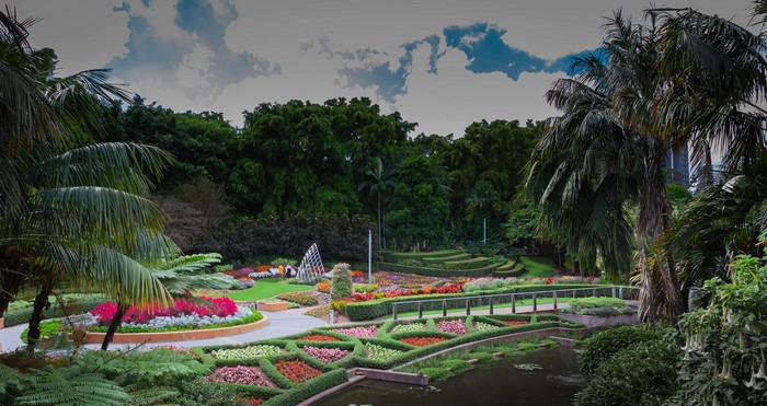 Botanical Garden with Flower Beds and Palm Trees
