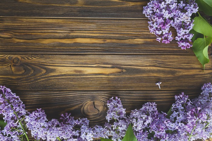 Lilac branches on wooden planks
