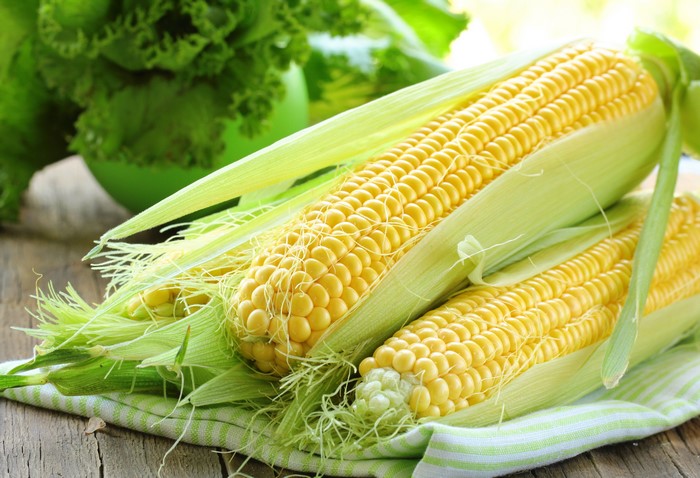 4K Corn Closeup