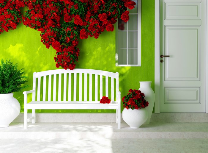 Red Roses on a Green Wall with a White Bench and Door