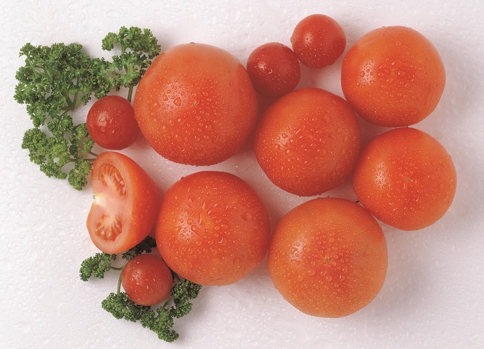 Tomatoes with water drops and parsley