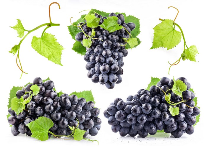 Grapes with branches on white background