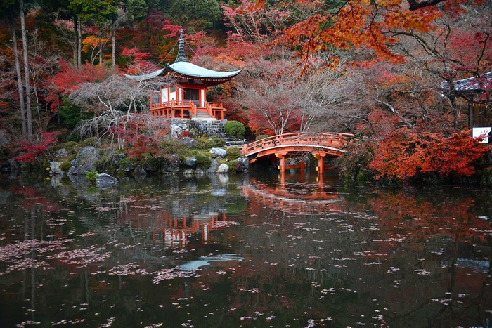Kyoto Autumn Park with Pond and Pagoda