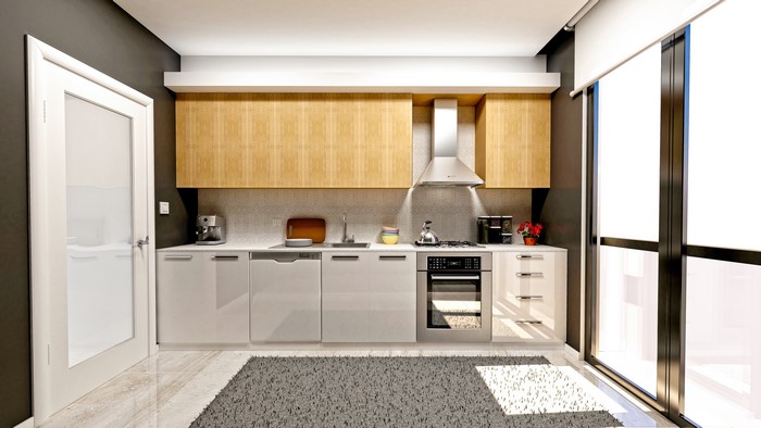 Modern Kitchen Interior Design