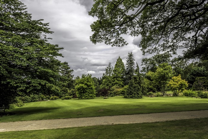 Garden with manicured lawn and trees under cloudy sky