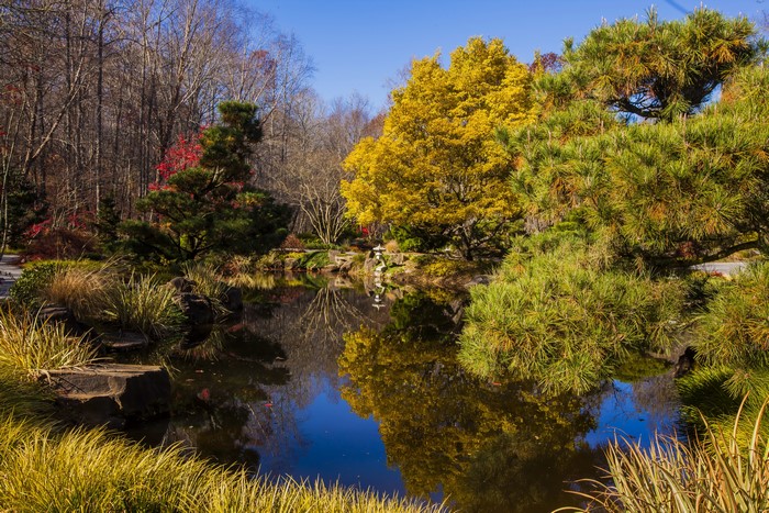 Autumn Pond and Trees at Gibbs Gardens