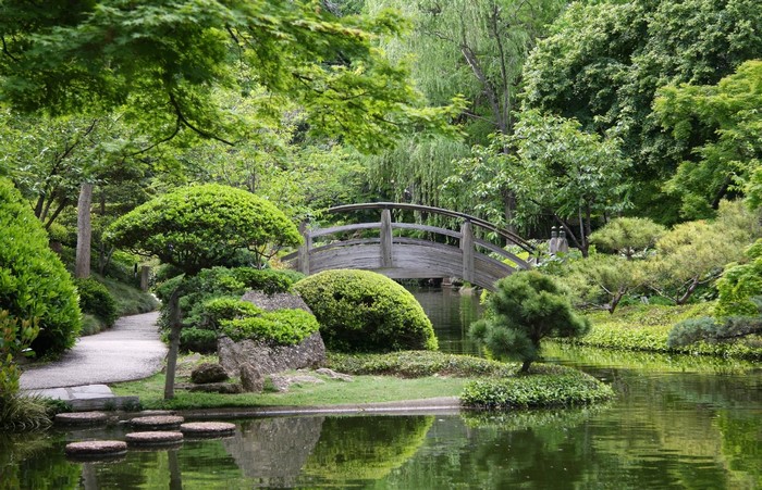 Japanese Garden with Bridge and Pond in USA