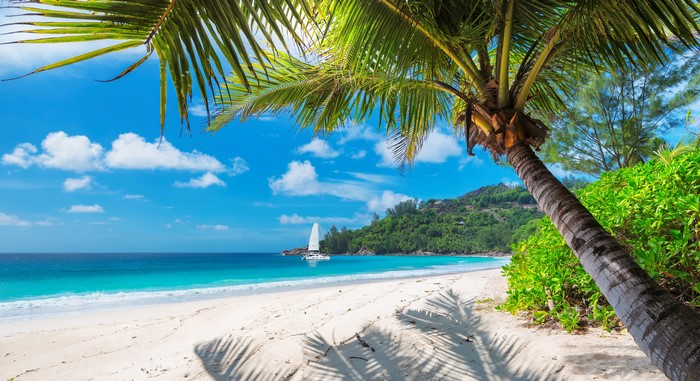 Tropical beach with palm trees and sailboat