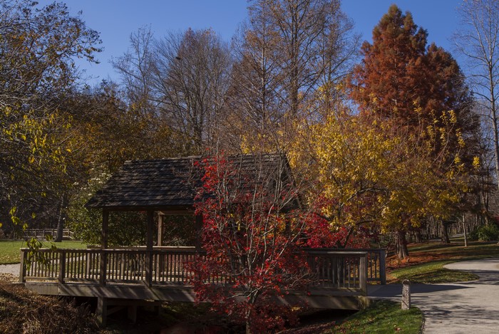 Autumn at Gibbs Gardens with Wooden Bridge and Gazebo