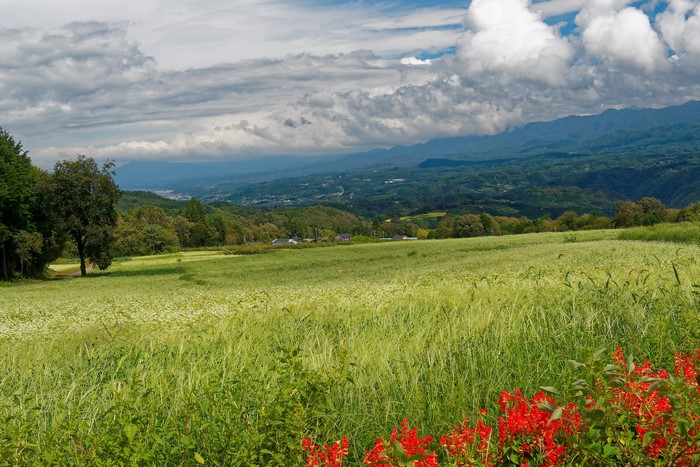 Fields and mountains in Nagano, Japan