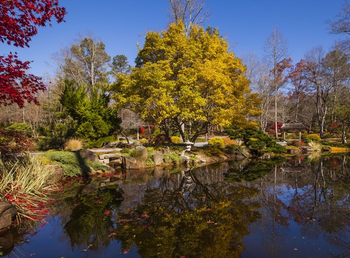 Gibbs Gardens pond with autumn trees and reflections