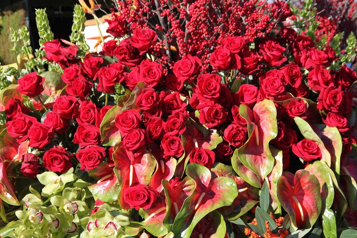 Red Roses and Anthurium Flowers