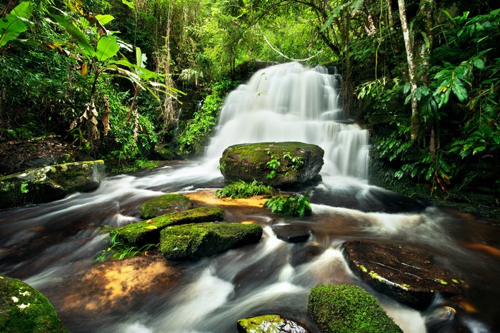 Waterfall flowing over mossy stones in a forest