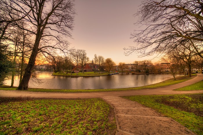 Park with lake and houses at sunset in Haarlem, Netherlands