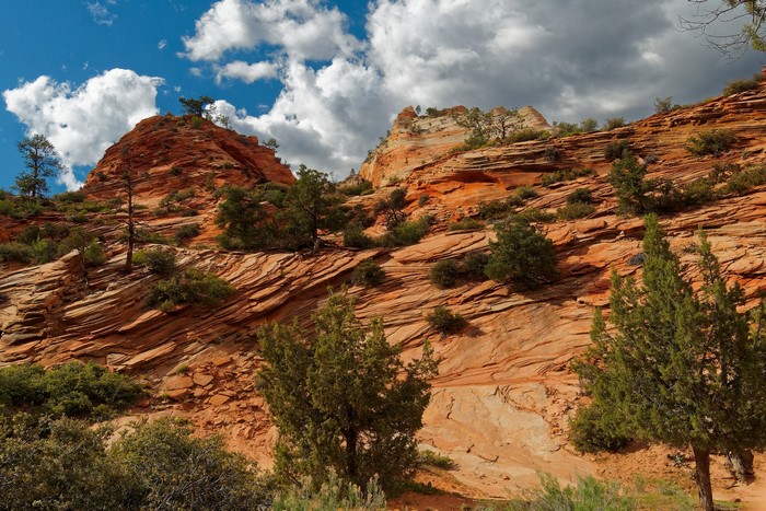 Zion National Park Mountains with Trees and Clouds