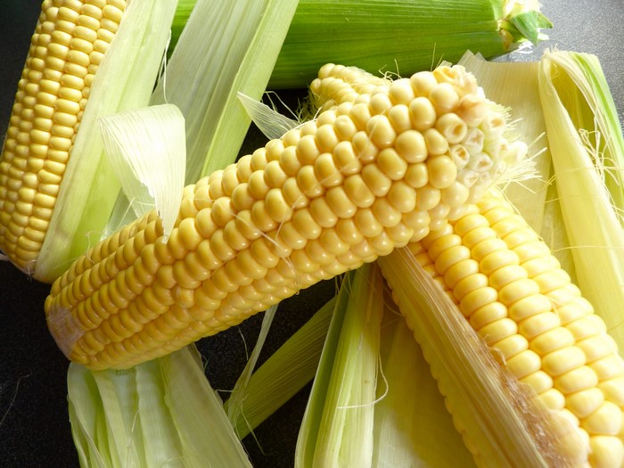 Close-up of fresh corn on the cob with husks