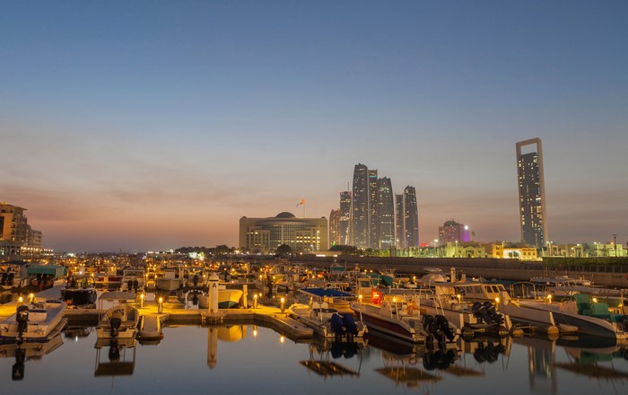 Boats docked in a marina with city skyline at dusk