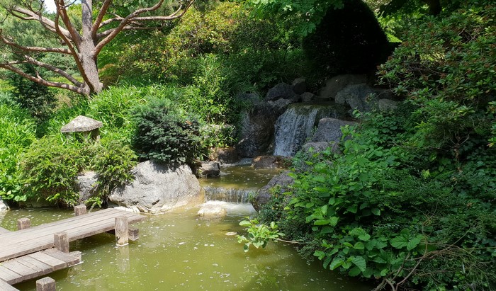 Japanese Garden with Waterfall and Wooden Bridge