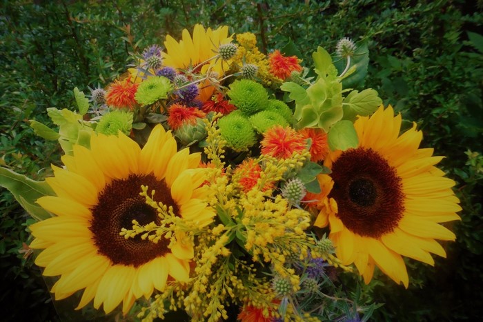 Bouquet of Sunflowers and Other Flowers