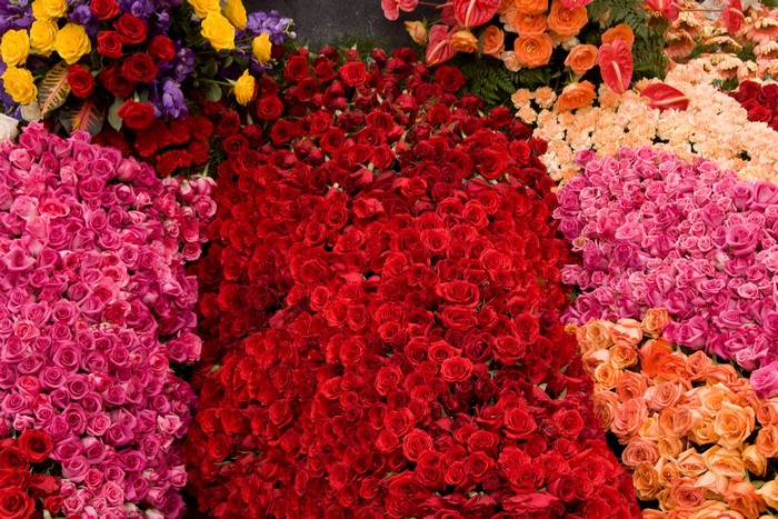 A large display of colorful roses