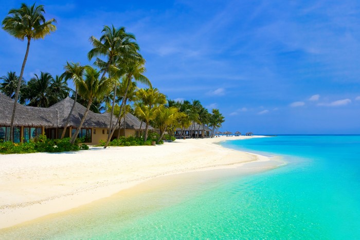 Tropical beach with bungalows and palm trees