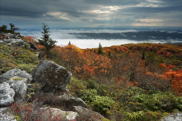 Autumn Foggy Mountain Landscape with Rocks and Trees