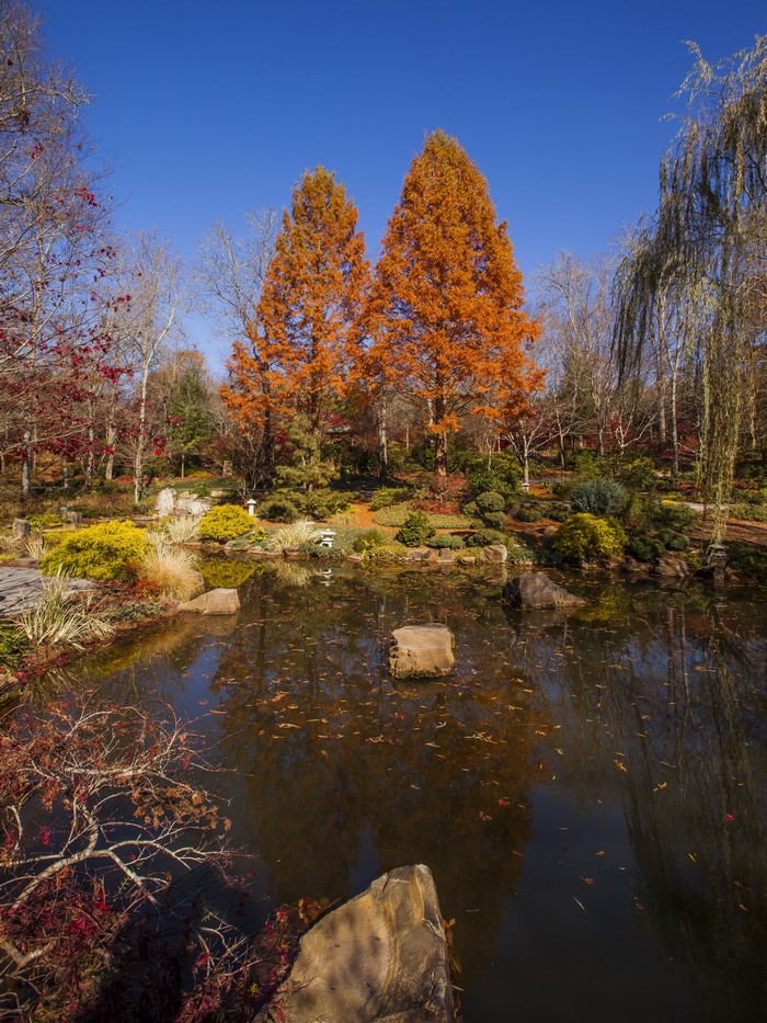 Gibbs Gardens in Autumn with Pond and Trees