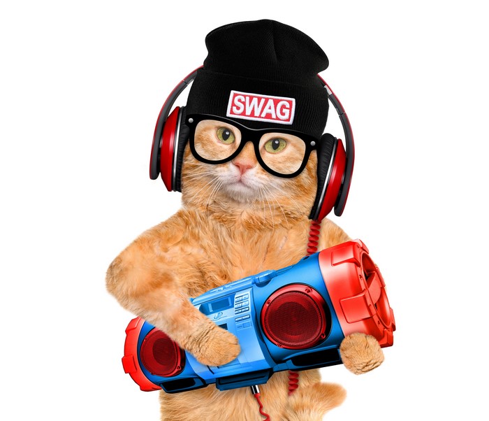 Ginger cat wearing headphones and glasses with boombox
